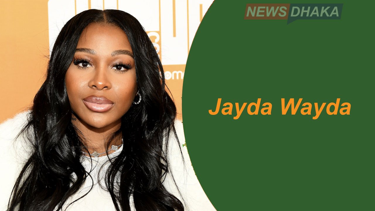 What are Jayda Wayda Braids?