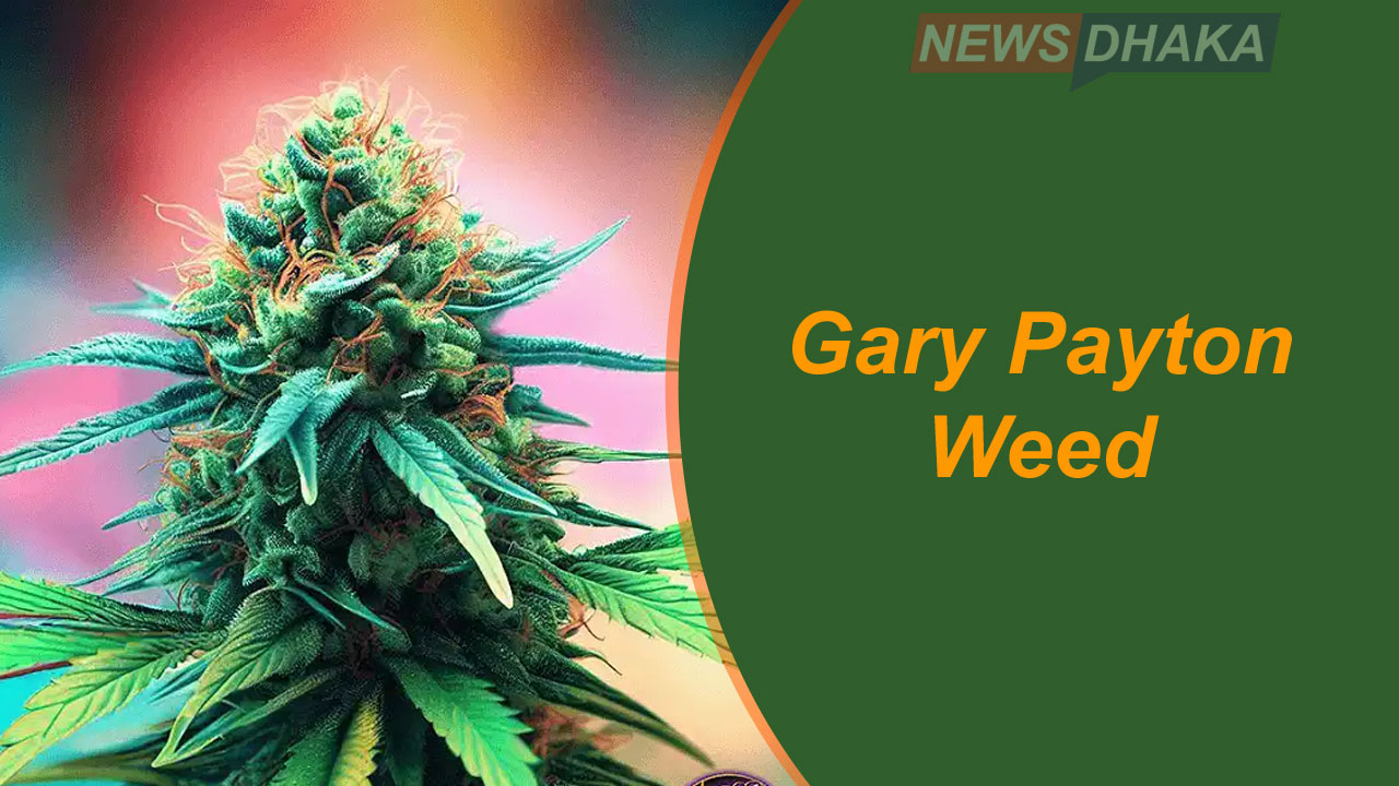 Gary Payton Weed