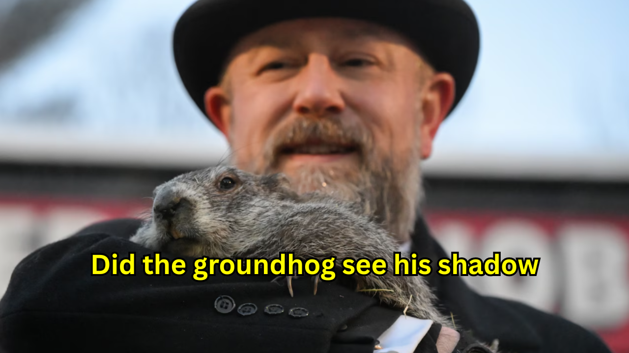 Did the groundhog see his shadow
