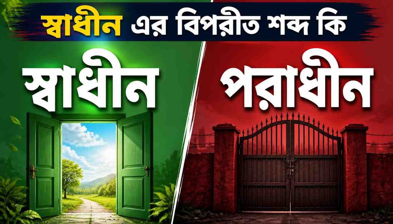 স্বাধীন এর বিপরীত শব্দ কি